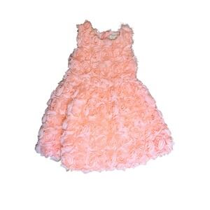 Best Baby Peach Rose Rosette Dress Toddler Girl Special Occasion Party 110